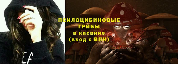 прущая мука Козельск