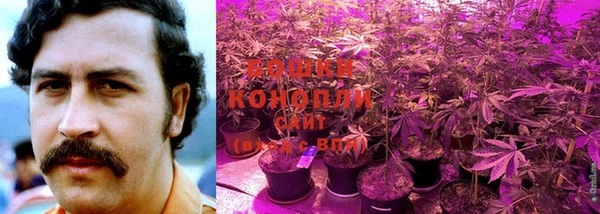 кокаин Козловка