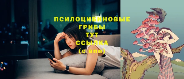 прущая мука Козельск