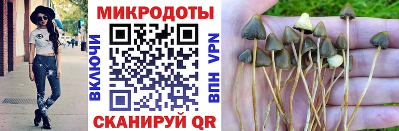 купить наркотик Нальчик kraken вход Псилоцибиновые грибы GOLDEN TEACHER